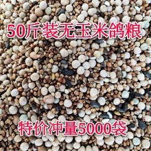 50�����ӼZ�o�������Z�Bʳ���ِ�������w�^���׳����Z19ʡ