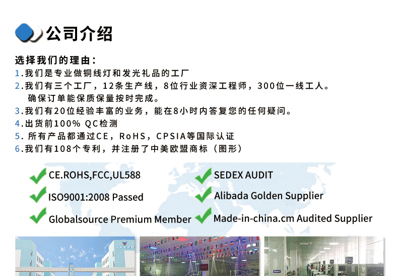 公司实力-中文1_01