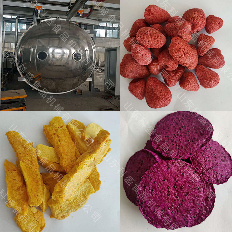 海鲜鳕鱼冻干机厂家 银耳羹真空冷冻干燥机 食用菌真空冻干机设备
