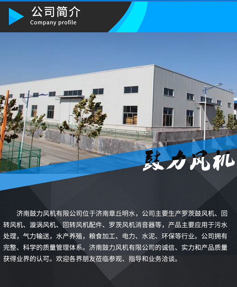 罗茨风机详情页_14.jpg