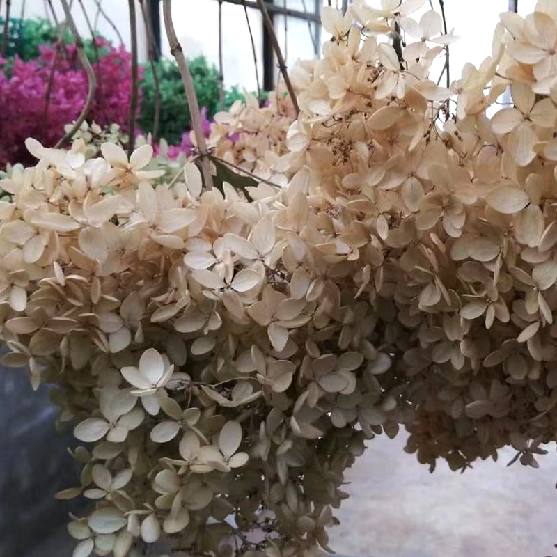 微信图片_20201025133646