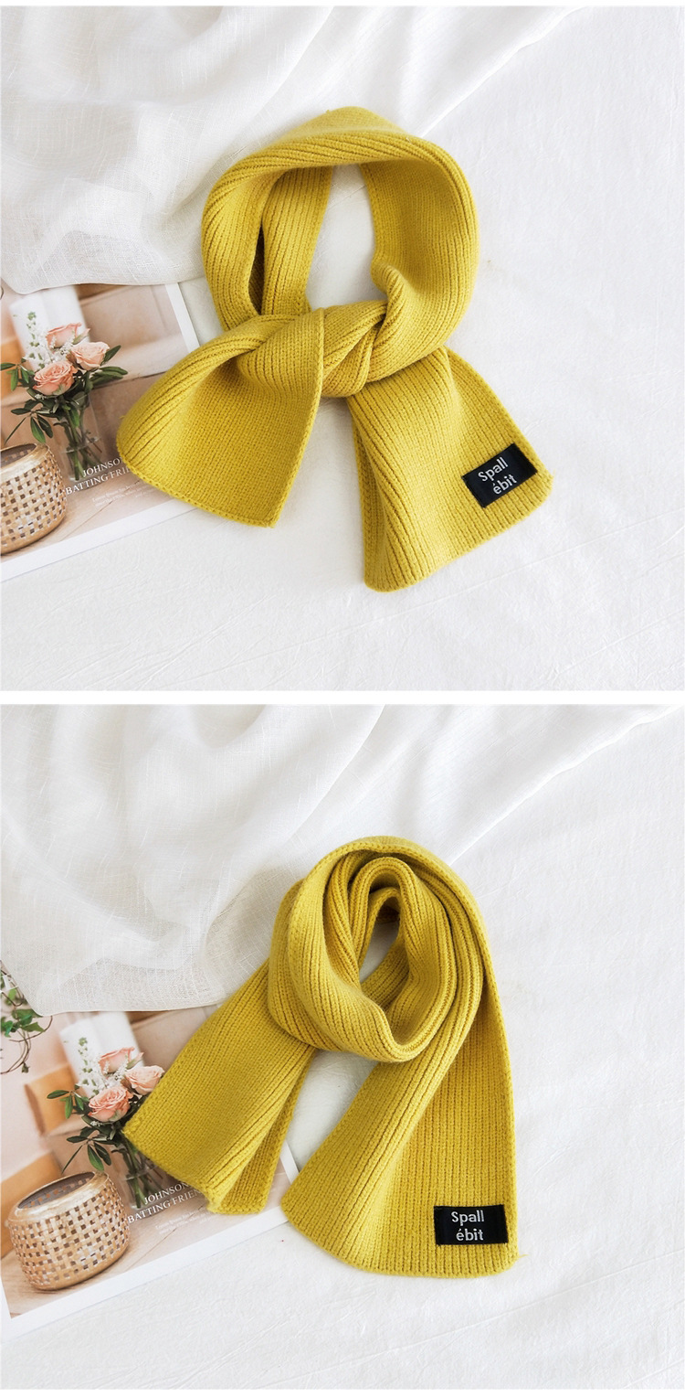 Pure Color Double-sided Dual-use Labeling Scarf For Women Korean Warm Scarf display picture 9