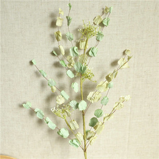 �\�S�Gɫľ���~�A�Θ��~���滨���W�L�͏d�Ҿ��b�Ʒ�[����c·��