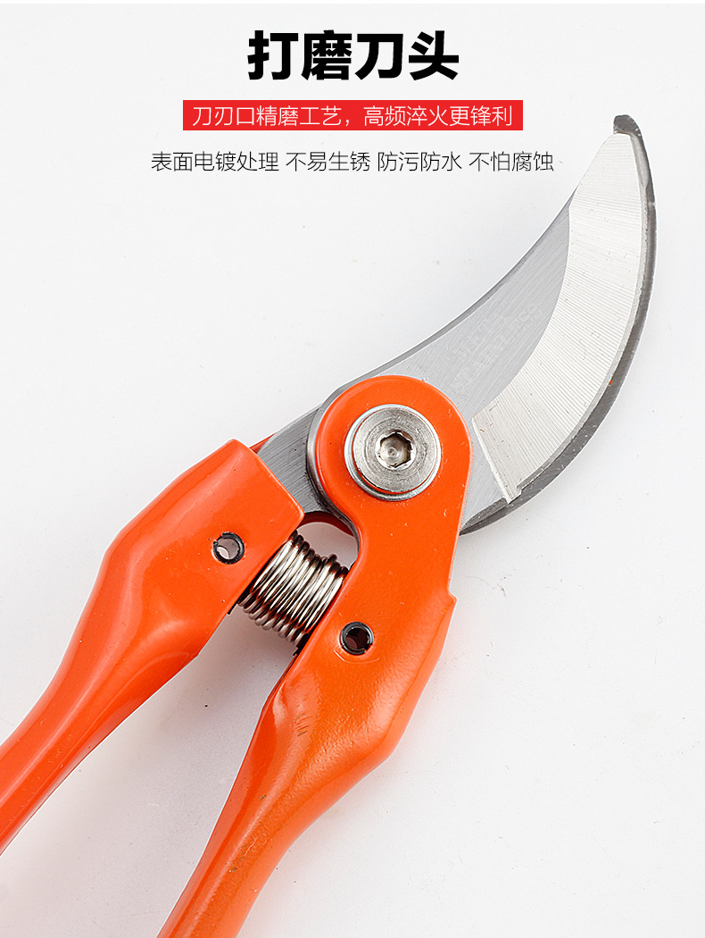 园林剪刀Q_06.jpg