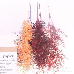 õݷFcPβ·廨ľƵb픻Yûc