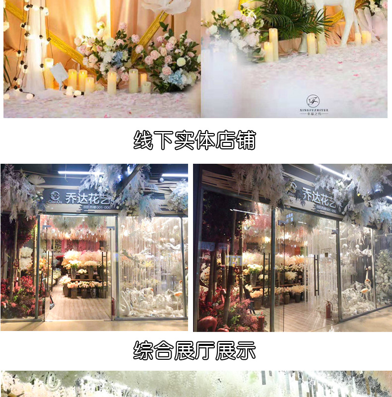 洋牡丹_14.jpg