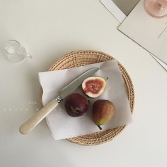 網紅博主 ins藤編盤子麵包盤日式印尼白藤竹編織圓盤餐盤托盤餐具