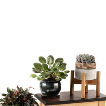 室内置物架小型伸缩可调节花盆架 竹木十字花架 桌面迷你植物花架