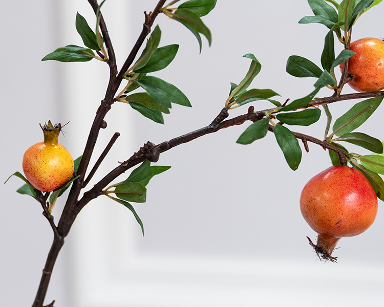 5头石榴带花 桔色_04.jpg