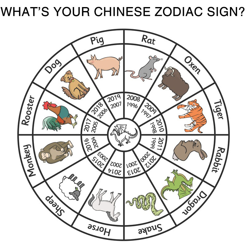 Chinese style 12 zodiac pendant simple diamond animal necklace