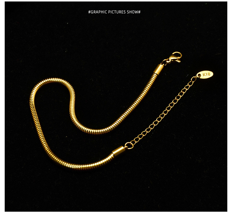 Round Snake Texture Real Gold-plated Anklet Titanium Steel Material 18k Real Gold-plated Non-allergenic Anklets Wholesale Nihaojewelry display picture 4