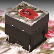 NKK�ձ��M���@ʾ�����_�PIS-F15ACP4��ɫSwitches�F؛�l�ⰴ�o