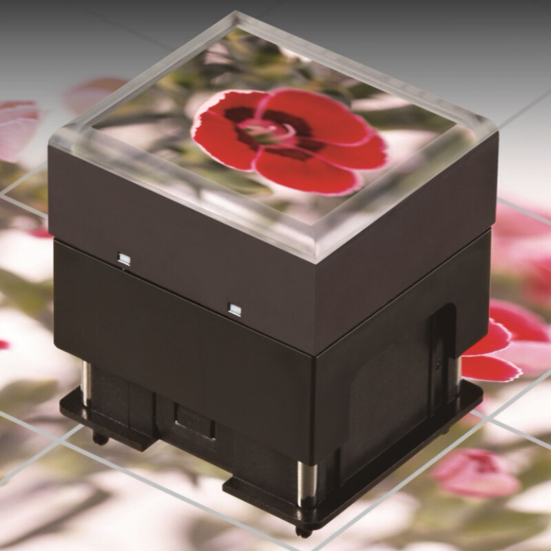 NKK Japan Imported DISplay Smart Switch Is-F15ACP4 ColorFul Switch Spot Luminous Button NKK Japan Imported DISplay Smart Switch Is-F15ACP4 ColorFul Switch Spot Luminous Button