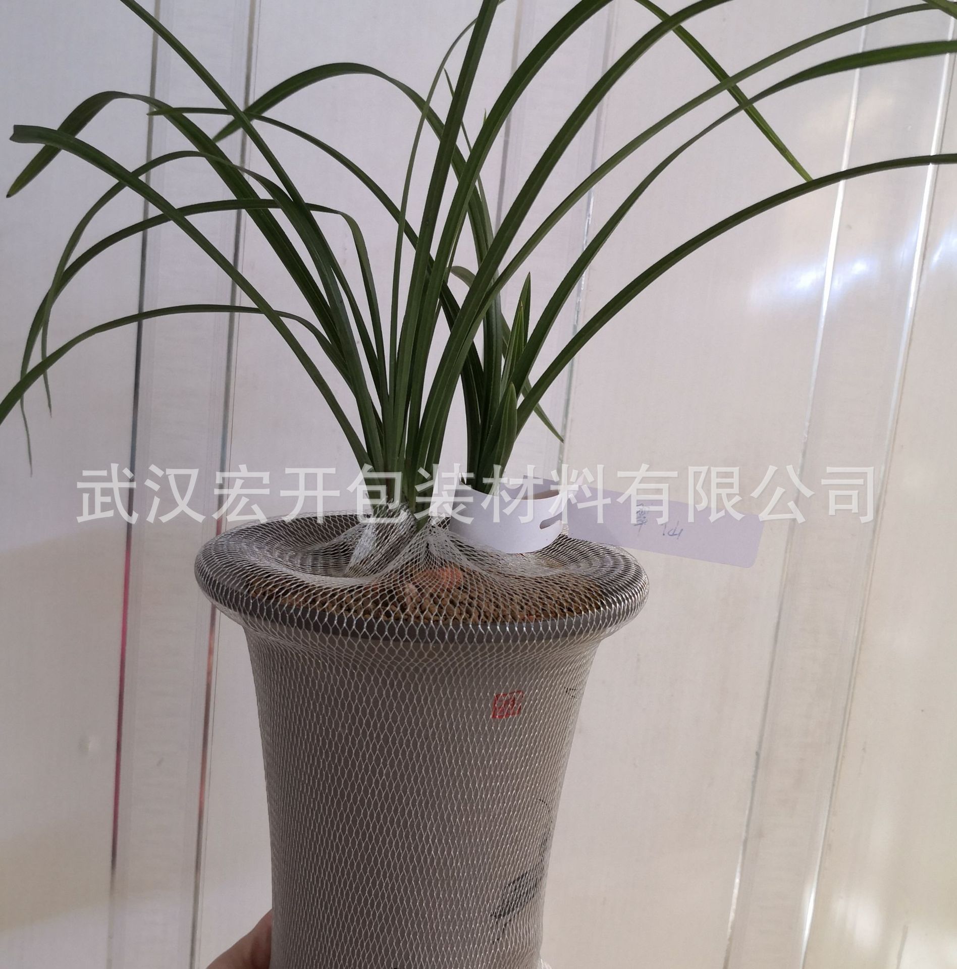 微信图片_20200511091417_副本