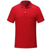 Polo, overall, T-shirt, custom made, with embroidery