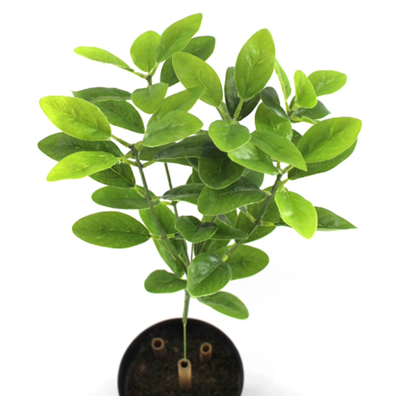 XRB-231 桔子皮小5枝1.jpg