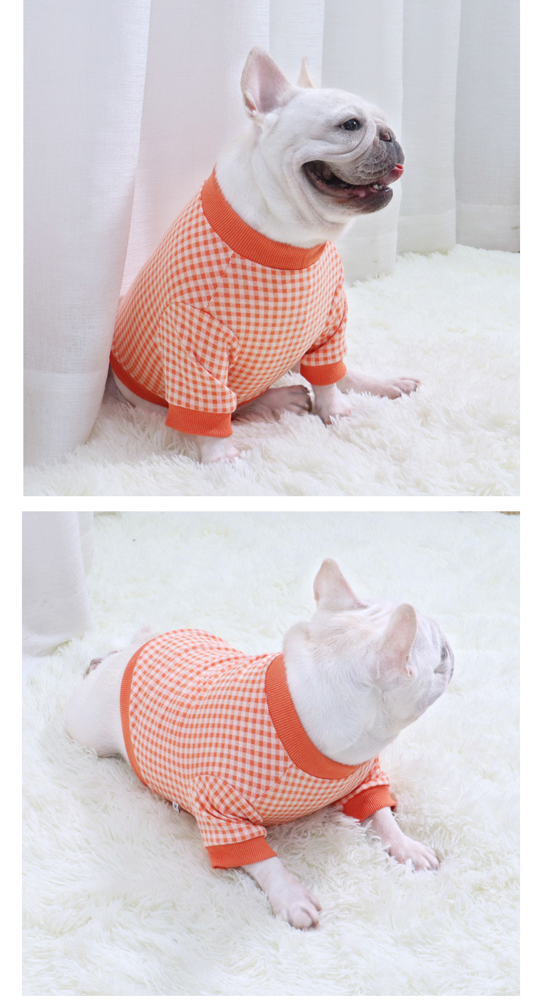 Pet Knitted Bottoming Shirt - Group