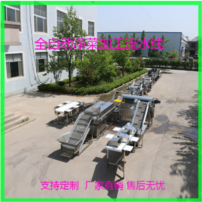 供应蔬菜清洗杀青流水线 橄榄菜清洗机 全自动气泡清洗机厂家