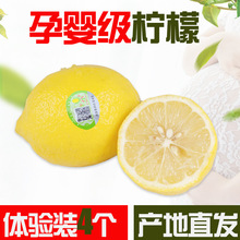 [4個裝]出口級嚴選新鮮黃檸檬四川安岳孕婦水果皮薄多汁1件代發