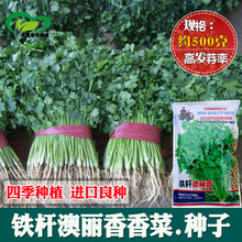 �F�U������ܾݴ�N�� �r��ˈ@�N�ļ����~��������߲���