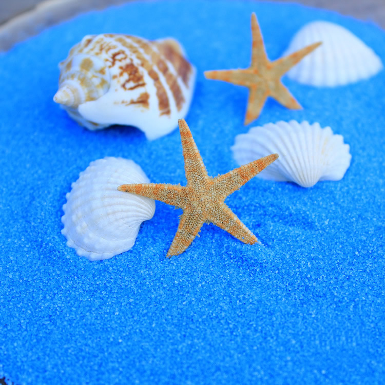 Decoración de micro paisaje de musgo, concha de arena azul fina, caracol, suculentas, decoración de jardinería