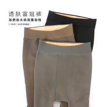 加肥加大富姐裤真透肤连裤袜空姐灰糯米袜秋冬加绒加厚女士一体裤