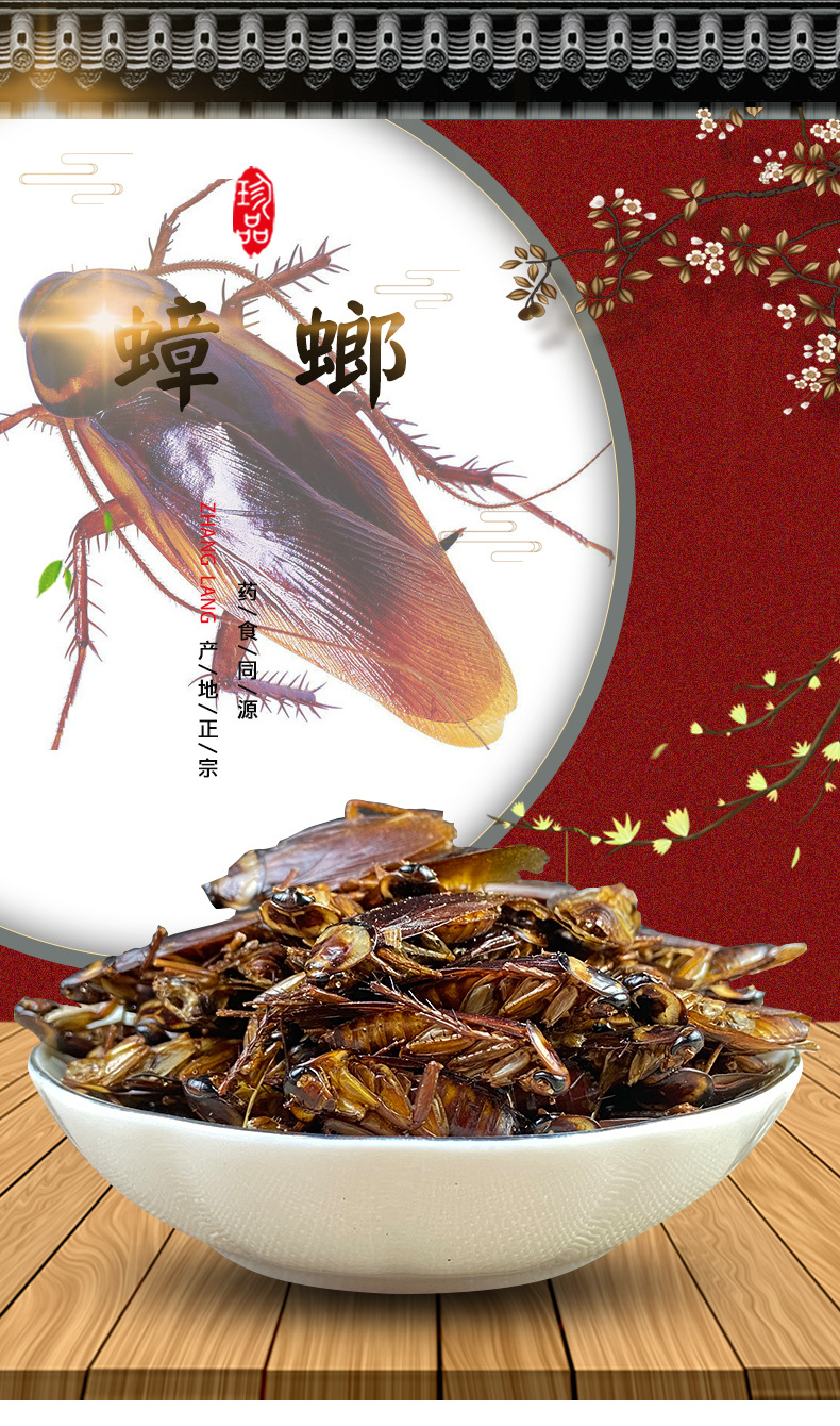 Dried Cockroach Whole Insect Yan Lang 500g Traditional Chinese Herbal Material Sun Dried overview