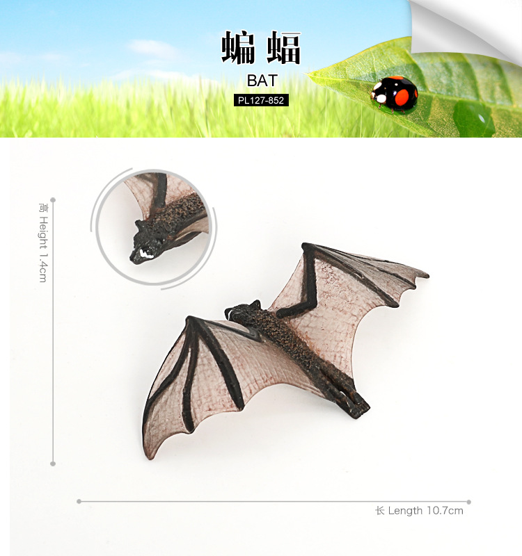 852-蝙蝠