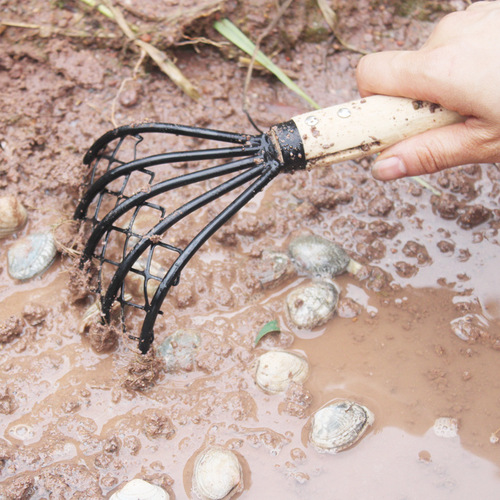 Rake the sea with a net to catch snails, oysters and shells, rake with a net, rake into the sea to dig for seafood, rake to dig for clams with a wooden handle