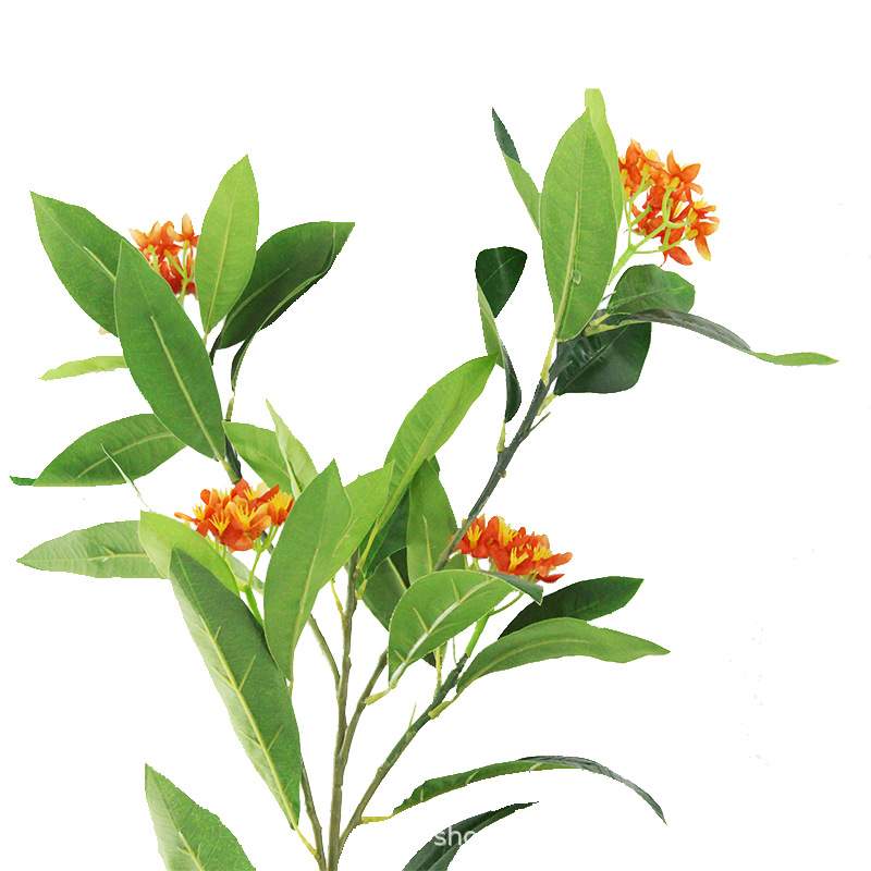 XRB-167 新桂花五叉枝立体2.jpg