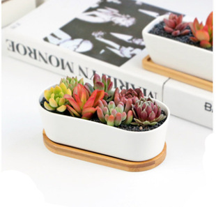Fleshy Plant Ceramic Flower Pot Simple Fleshy Flower Pot Flower Set Creative Oval Pot White Porcelain Flower Pot with Tray