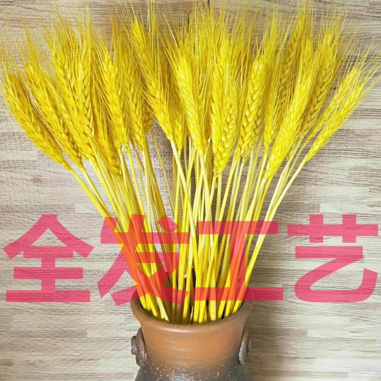 微信图片_20200430145517