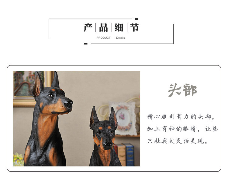 杜宾犬_11.jpg