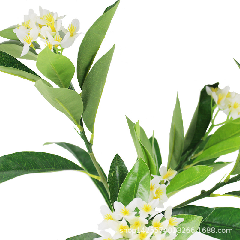 XRB-167 新桂花五叉枝立体11.jpg