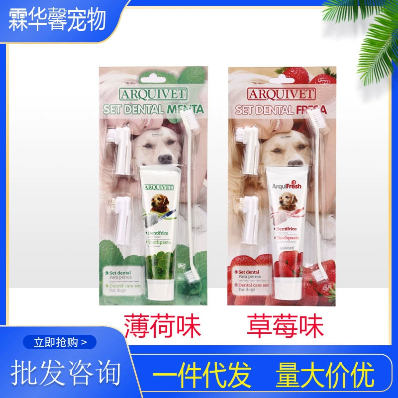 Испания домашнее животное зубная паста зубная щетка костюм чистки полости рта домашнее животное зубная паста костюм чистящие средства поколения волос