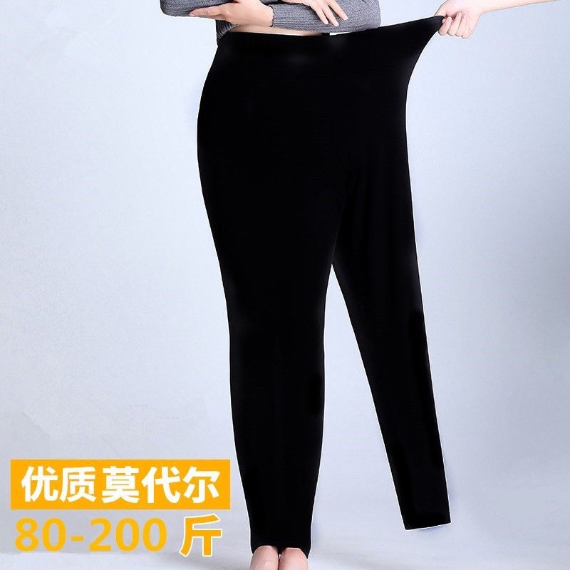 爆款莫代尔棉打底裤