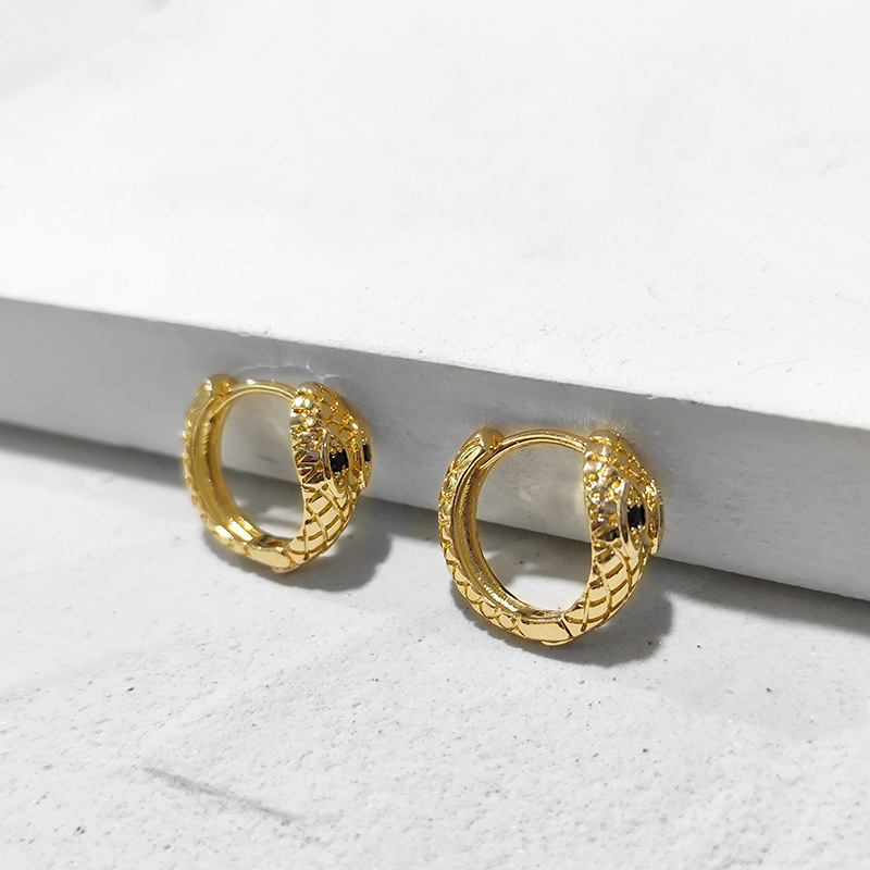 Fashion Snake Brass Inlay Zircon Earrings 1 Pair display picture 5