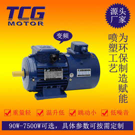 TCG 交流变频电动机 Y7134 713电机 550W四级电机机械设备用电动