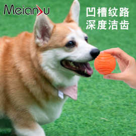 Meianju宠物狗弹力球 耐咬实心球橡胶啃咬玩具球户外投掷寻回训练