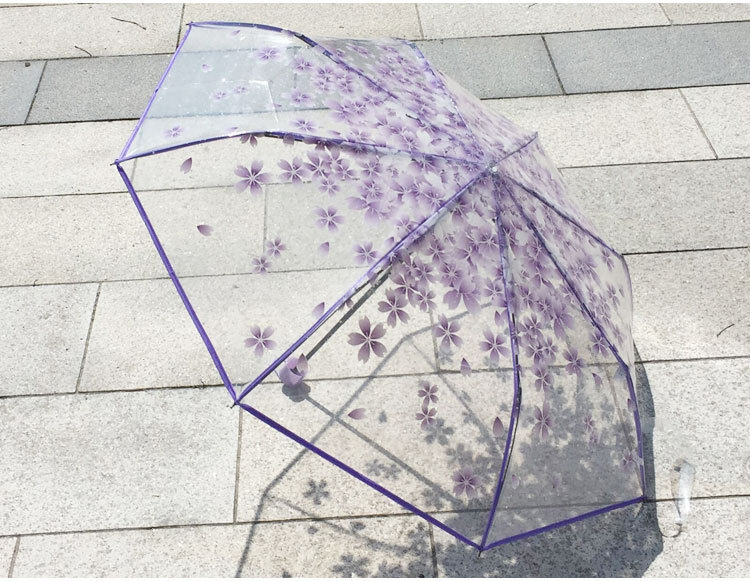 11012947386_2119238038