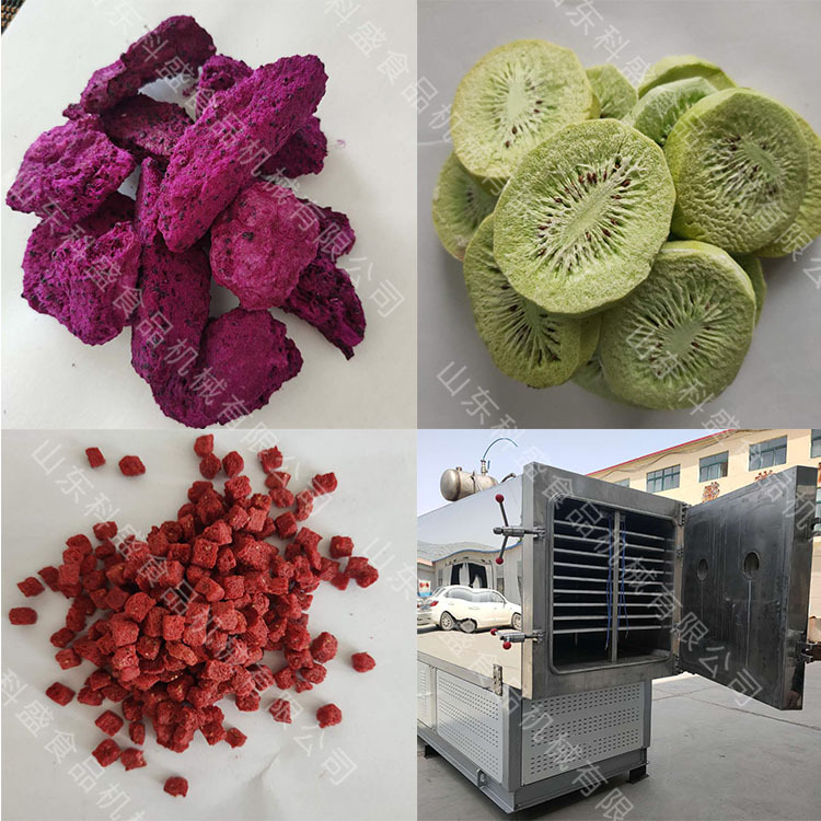 鸡心冻干机 蛋黄粉真空冷冻干燥设备 宠物食品低温考证冻干机