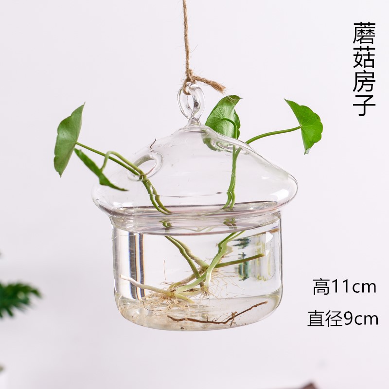 버섯 하우스
