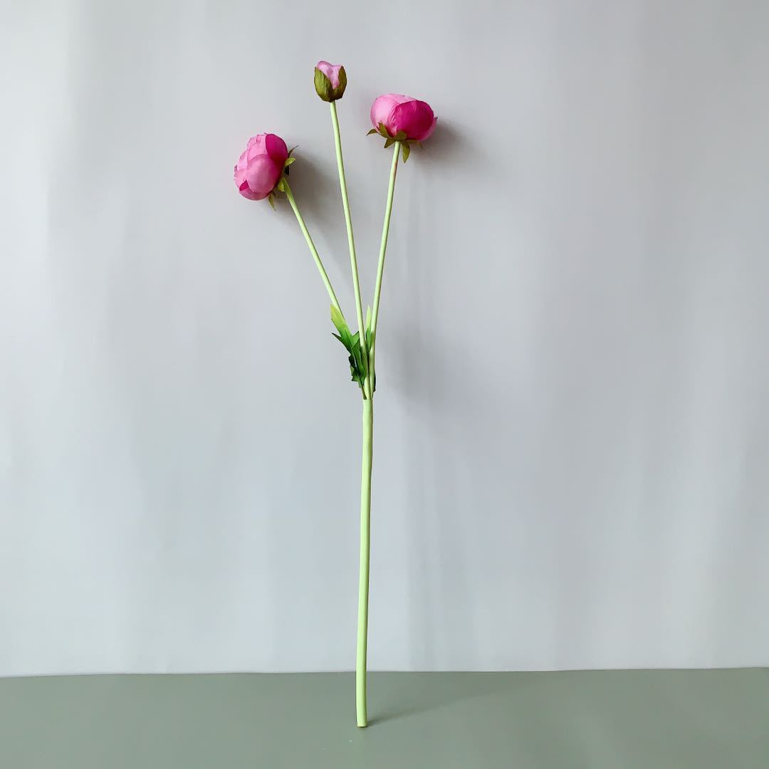 8fa980a6bf399b047293857bd9e9e5