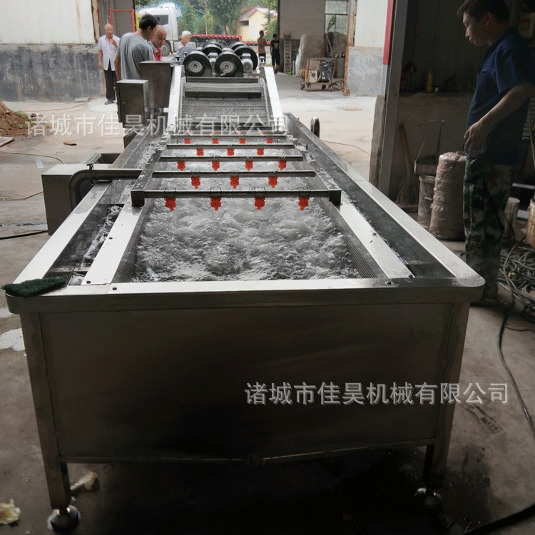 气泡果蔬清洗机玉米去须去虫卵清洗机商用辣椒气泡清洗机设备