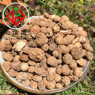 �����h����ș�ĵ�ˮ�鲻Ѭ���һ����һ���骚�~һ֦�����󃞻�