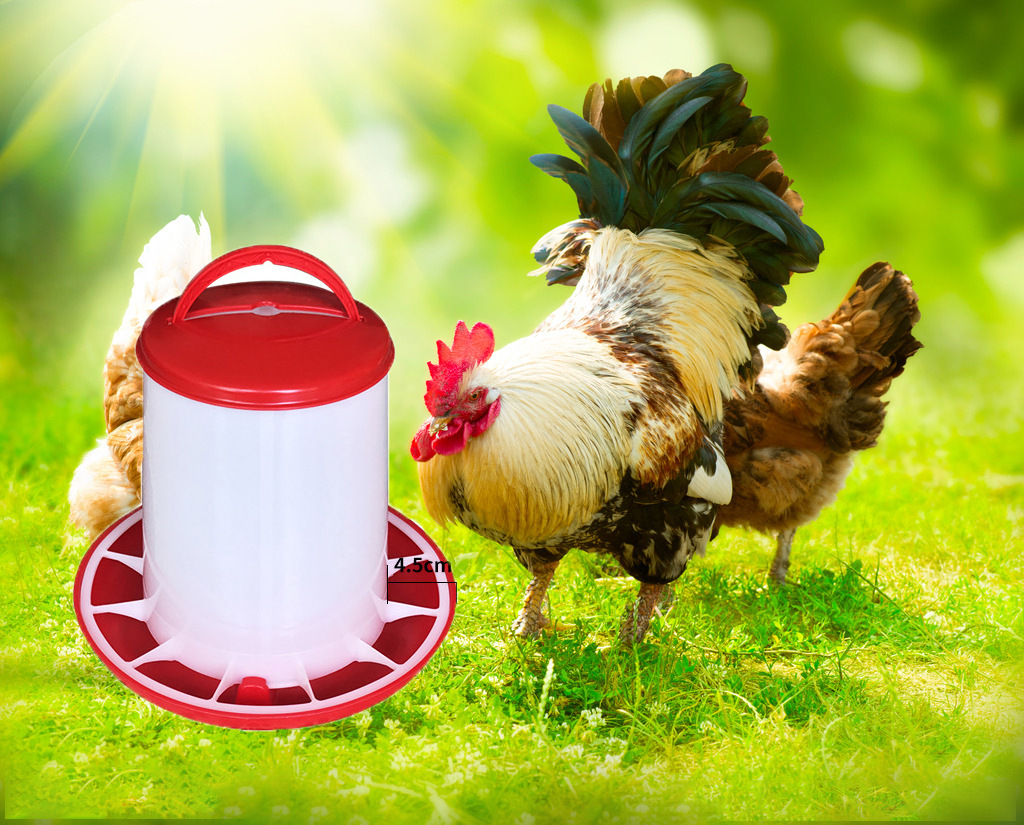 鸡料桶鸡用料槽食槽鸡料桶饲料筒小鸡喂食器鸡鸭子鹅鸽自动下料桶