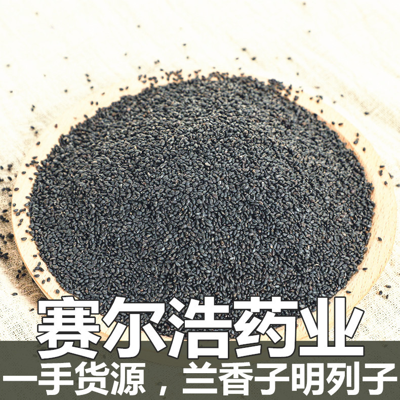 批发供应 兰香子 明列子/罗勒籽/优质货源500克 量大从优