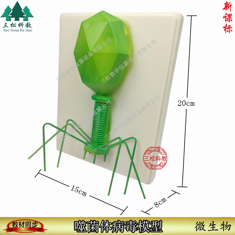 噬菌体病毒模型 病毒结构模型 生物教学模型 教学模型