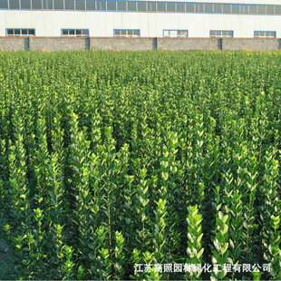 ���ؾG����ľ�е���G �hֲ�ﱱ�����S���lì������ �o�¾G������