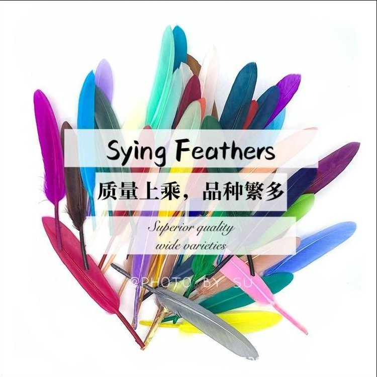 diy羽毛条鹅毛网红墙孔雀毛火鸡毛 毛条原料派对婚庆装饰批发定制